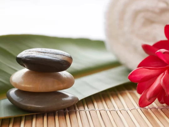 6m85bnv3evl7h3gvs2mbmj7co2531a4a2232691 6m85bnv3evl7h3gvs2mbmj7co2531a4a2232691